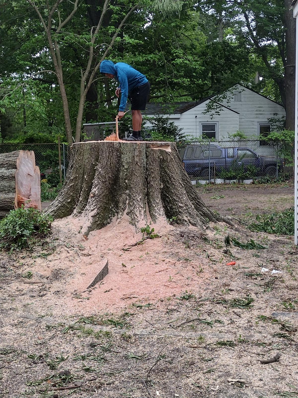 Tree Cutting 2